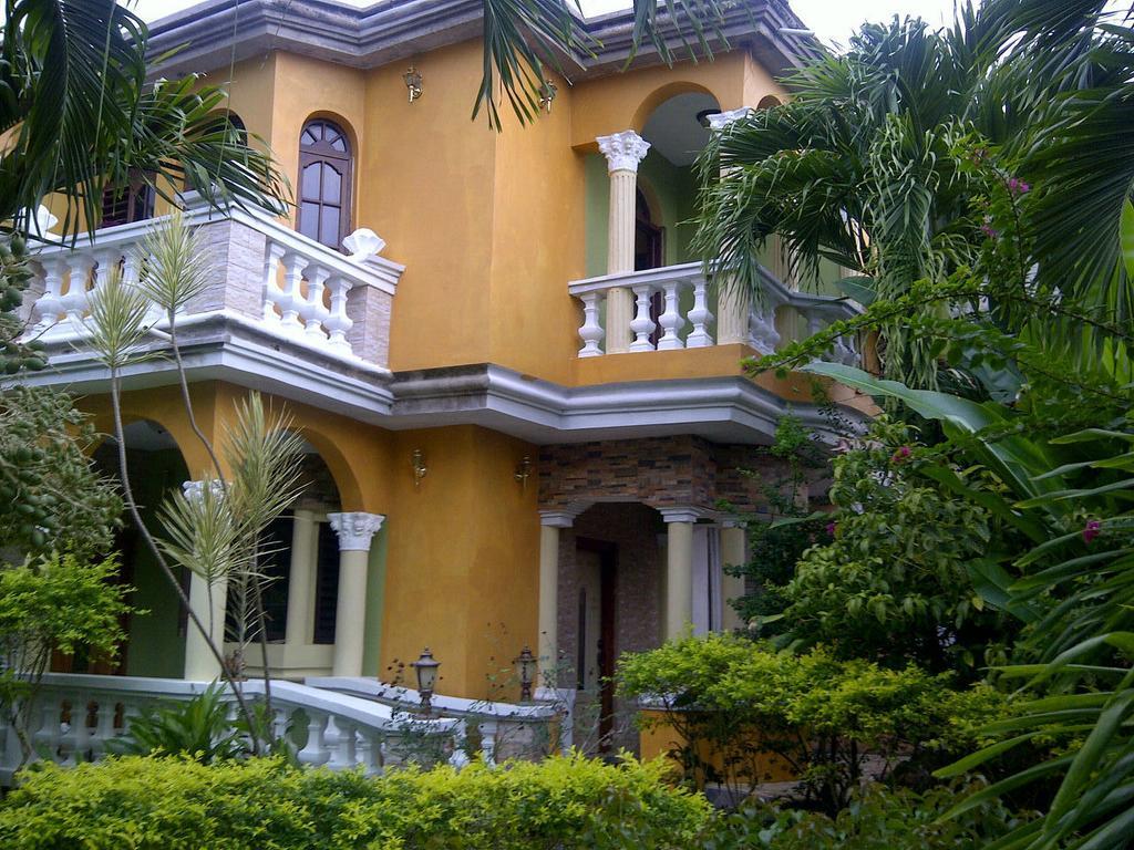 Eddies Tigress 2 Negril Zimmer foto
